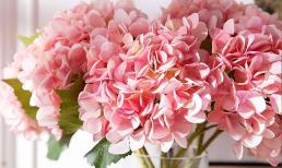 Phong thủy phòng khách cấm kỵ sử dụng hoa giả đặt trong nhà! 