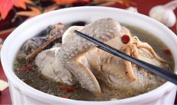 '1 con chim bồ câu còn tốt hơn 9 con gà', thường xuyên ăn thịt chim bồ câu có lợi gì? Những kiểu người này tuyệt nhiên không nên ăn