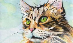 Cuối tuần này (19/11 - 20/11): top 3 con giáp được Thần Tài chiếu cố, quý nhân nâng đỡ nên gặp nhiều may mắn