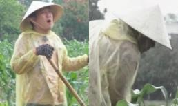 Là nghệ sĩ giàu có, Trường Giang vẫn đội mưa làm vườn