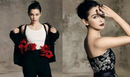 Lý Băng Băng tuổi 49 vẫn trẻ như gái đôi mươi, sự nghiệp rực rỡ nhưng quyết không kết hôn