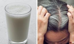 Làm gì để tránh tóc bạc sớm? Đây là 4 điều nhất định phải nhớ 