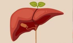 Công bố 6 hành vi “hại gan”, uống rượu bia là điều cuối cùng, lời khuyên của bác sĩ: đừng nên coi thường
