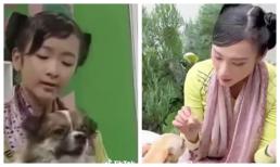 Angela Phương Trinh tái hiện lại vai diễn thời hoàng kim, dân mạng liền 'quay về tuổi thơ'