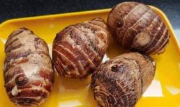 Ăn khoai sọ giảm cân hay tăng cân? Những điều cấm kỵ là gì? Mong mọi người sớm nhận ra, kẻo ăn nhầm