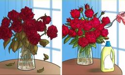 Sự thật cuộc sống: 10 cách tuyệt vời để sử dụng đồ dùng vệ sinh nhà cửa của bạn một cách thông minh