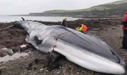 Một siêu Trái đất mới đã được phát hiện! 30% là nước, chỉ cách 100 năm ánh sáng, có thể có sự sống