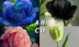 Trắc nghiệm tâm lý: chọn hoa theo cảm tính, trắc nghiệm xem bạn có phải là người phụ nữ quyến rũ?