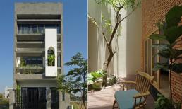 Gợi ý thiết kế nhà tầng mặt phố, nhìn ngoài tưởng khô khan nhưng bên trong là cả 'khung cảnh thiên nhiên thơ mộng'