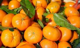 Bạn không nên bắt đầu ngày mới với những loại thực phẩm nào?