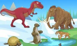 Kỷ băng hà là gì?