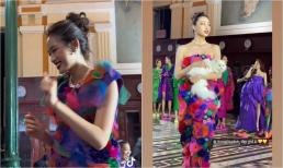 Lương Thùy Linh bị thương với hàng loạt vết cào, Đỗ Thị Hà gặp tình huống khó xử khi trình diễn cùng mèo trên sàn catwalk 