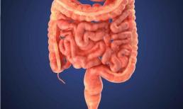 Nếu bạn có 'cảm giác này' khi đánh rắm, hãy cảnh giác: có thể 'tế bào ung thư' đang âm thầm kéo đến, đừng sơ ý!