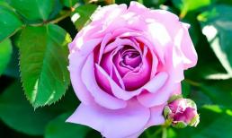 Một khi đàn ông đã có người phụ nữ khác trong lòng thì những sự 'thay đổi' này là điều hiển nhiên