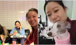 Gong Hyo Jin khoe nội thất nhà mới, đón 'Hoa hậu đẹp nhất Hàn Quốc' Honey Lee đến chơi nhà