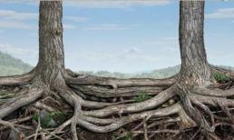 8 điều đáng ngạc nhiên mà giáo viên của bạn chưa dạy