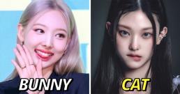 Những sao nữ Hàn có gương mặt giống... động vật