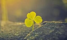 Người càng nghèo càng thích hào phóng ba thứ, mong bạn đừng rơi vào một trong số đó