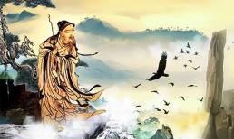 Tục ngữ: “Hai con chim bay vào nhà, không gặp họa thì cũng gặp tai ương”, đó là hai loài chim nào?