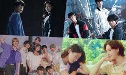 12 bộ phim, chương trình tạp kĩ mới trên Viki mà bạn không nên bỏ lỡ