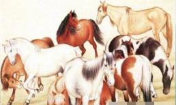 Người tuổi Ngọ sinh vào giờ này được chư Phật phù hộ, số mệnh hưởng phúc!