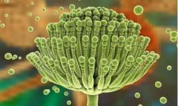 Chất gây ung thư cấp độ 1” bị phanh phui? WHO: Hãy ngừng ăn, đừng đợi đến khi bị bệnh