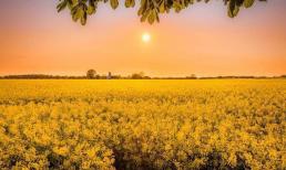 Người ở 'đẳng cấp' càng thấp thường thích làm những việc này 