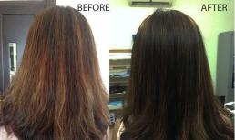 Tóc bị khô, xơ dù đã làm, đây là thủ thuật rẻ tiền dành cho bạn