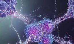 Tại sao 'ung thư' tái phát sau khi được chữa khỏi? Đọc xong có thể bạn sẽ hiểu!