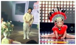 Bé Tin Tin bất ngờ lộ diện sau thời gian ở ẩn, ngoại hình liệu có đáng yêu như xưa?