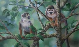 Tử vi tuần mới (19/12 - 25/12): top 3 con giáp gặp nhiều may mắn, kiếm tiền dễ dàng, mọi sự đều xuôi thuận như ý