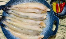 Khi mua cá, người biết ăn chọn 5 loại “cá biển”, không nuôi nhân tạo, thuần tự nhiên thì bổ dưỡng