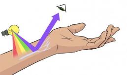 Tại sao máu có màu đỏ và tĩnh mạch có màu xanh