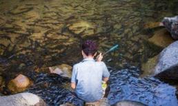 Vì một truyền thuyết nên không ai dám ăn cá ở đây, dòng sông tràn ngập cá, trở thành một cảnh tượng tuyệt vời ở Thái Lan