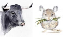 Tử vi 12 con giáp thứ 7 ngày 24/12/2022: Tuổi Tý có cơ hội phát tài, Sửu gặp phải rắc rối