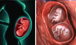 Theo khoa học, phụ nữ có thể mang thai ngay cả khi cô ấy đã mang thai