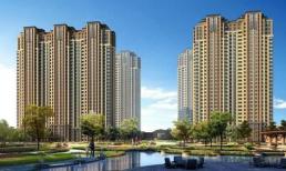 10 năm tới 3 loại sàn này sẽ trở thành “sàn vàng”, giới chuyên gia đã bắt đầu âm thầm gom