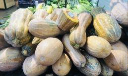 Khi mua bí ngô vào mùa đông, đừng chỉ nhìn vào kích thước của chúng, nông dân trồng bí: 4 điểm này sẽ mua được bí dẻo và ngọt