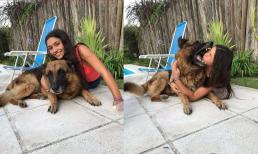 Nữ tiếp viên giây trước chụp ảnh cùng chó chăn cừu Đức, giây sau bị cắn vào mặt, khâu 40 mũi