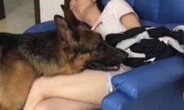 Cô gái mặc quần soóc chợp mắt trên ghế sô pha, chú chó chạy lon ton về phía trước, cảnh tiếp theo thật là chết lặng