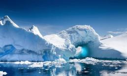 Những thứ 'không nên xuất hiện' trên Trái đất đã thực sự xuất hiện ở Nam Cực! Các nhà khoa học: Đã đến lúc phải cảnh giác