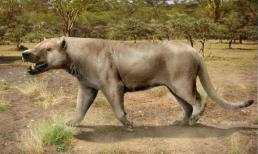 Nặng hai tấn và ăn thịt voi, loài tiền sử mới được các nhà khoa học phát hiện may mắn không sống ở thời hiện đại