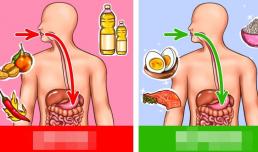 Thức ăn nào dễ tiêu hóa hơn