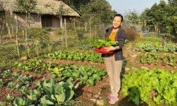 MC Minh Trang khoe khu vườn tự trồng và 'cảnh tỉnh' những ai muốn trốn phố về quê trồng rau, nuôi gà 