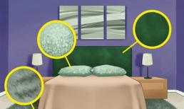 5 mẹo thiết kế nội thất có thể nâng căn phòng của bạn lên một tầm cao mới