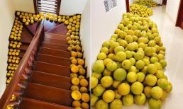 Loạt ảnh 'sắm bưởi ăn Tết' nhận 'bão like', dân mạng thích thú vì khung cảnh quá quen thuộc 