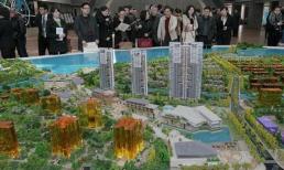 Chọn kiểu nhà như thế nào? KTS: Đáp ứng 4 điều kiện này, chúc mừng bạn đã mua được căn hộ ưng ý