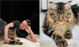 Không chỉ chăm tậu tài sản giá trị khủng, Cao Thái Sơn nay còn nuôi mèo có giá lên đến 50 triệu 