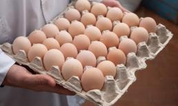 Tốt nhất không nên ăn 3 loại trứng này hại gan hại thận, đáng tiếc là đa số người dân không hiểu mà vẫn ăn hàng ngày!