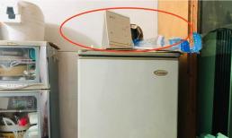 Dù có tiền hay không thì tốt nhất không nên để 4 thứ này trên tủ lạnh, không phải mê tín dị đoan nên về nhà dọn đi chỗ khác